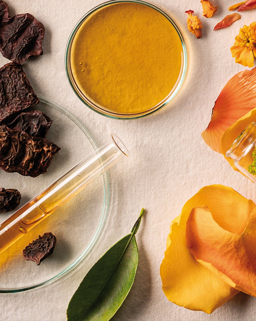 Khadi Ayurveda Buch – Rezepturbild Ayurveda