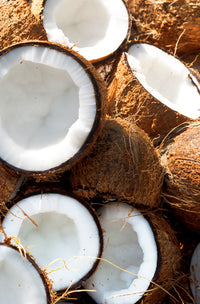 Khadi Kokosnuss Wirkstoff – Produktbild