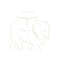 Benefit icon