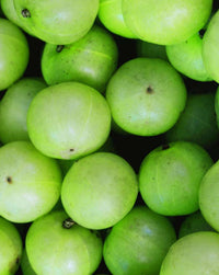 Amla Shampoo Produkt in Anwendung von Khadi