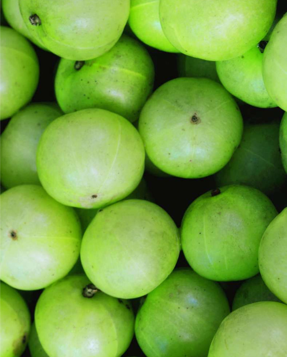 Image 39965118071048 Rejuvenating Amla Set von Khadi