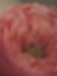 Himalaya Rose Handwash Video