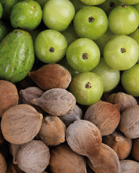 Bild von Triphala, ein Wirkstoff in Khadi-Produkten